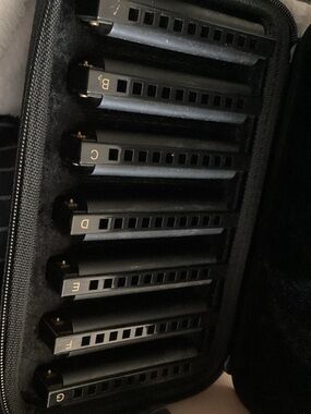 Hohner Piedmont 7 piece